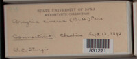 Image Associated With the Occurence
